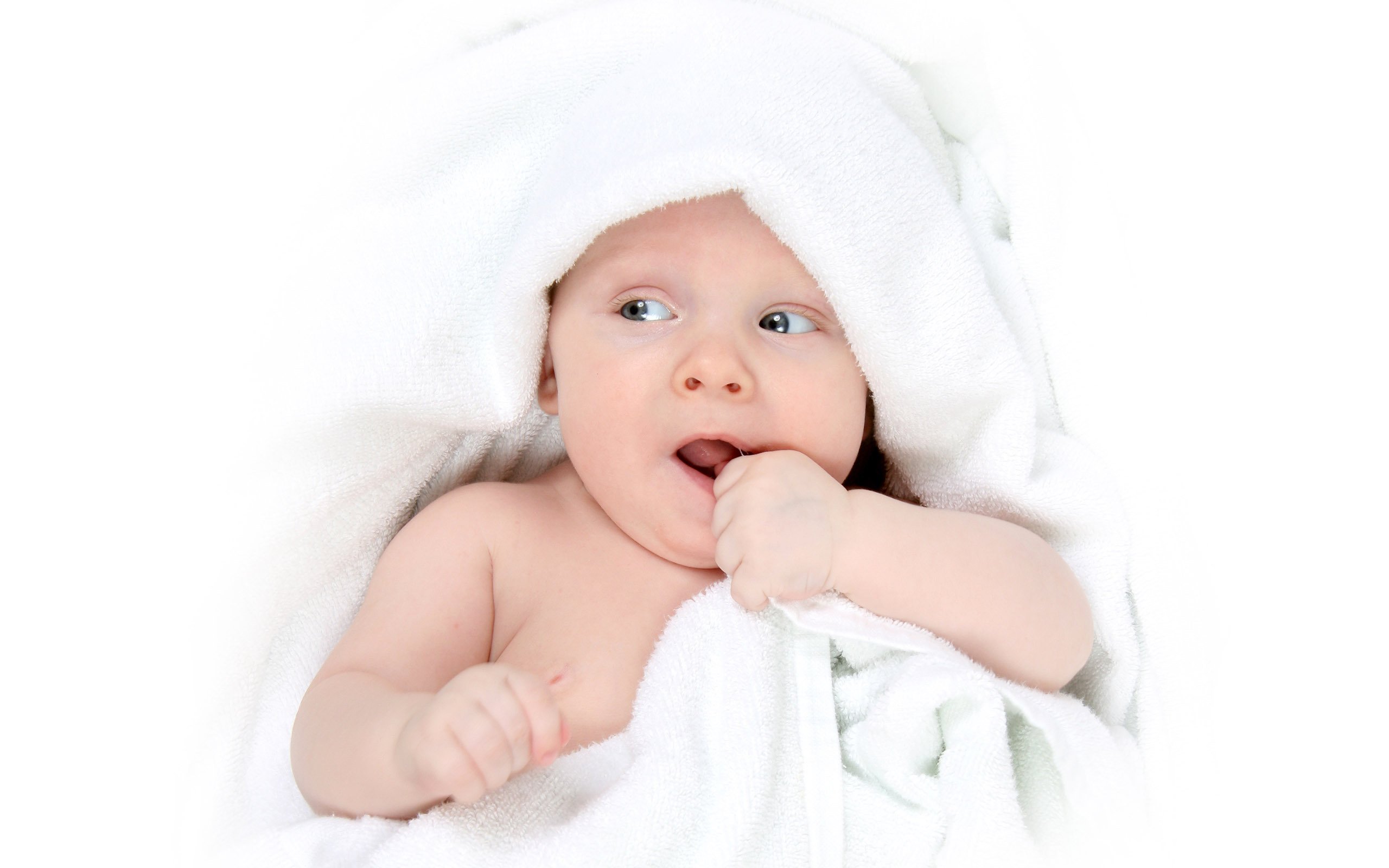 长春代怀生子助孕机构卵巢基础卵泡数量少的原因